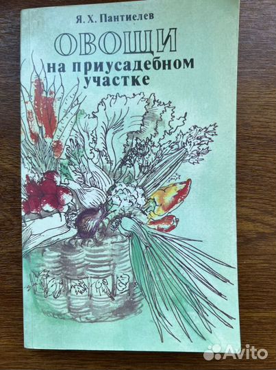 Овощи на приусадебном участке Я.Х. Пантиелев