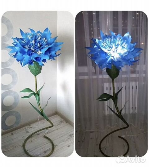 Василек ростовой