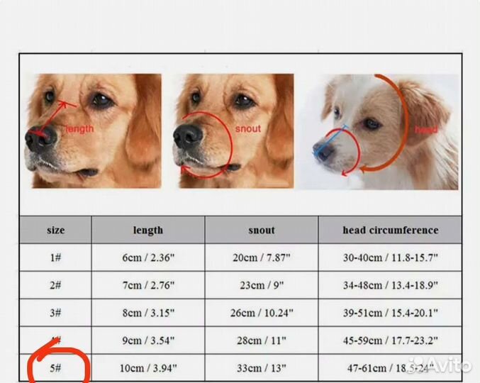 Намордник для собак