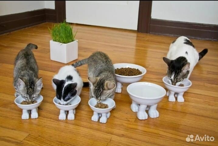 Корм для кошек стерилизованных Promenad