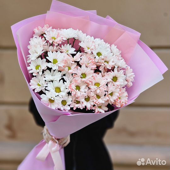 Хризантема