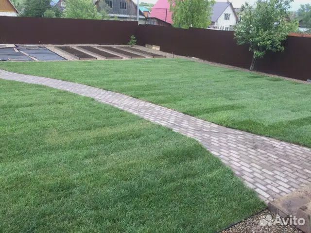 Укладка рулонного газона, и посев газона