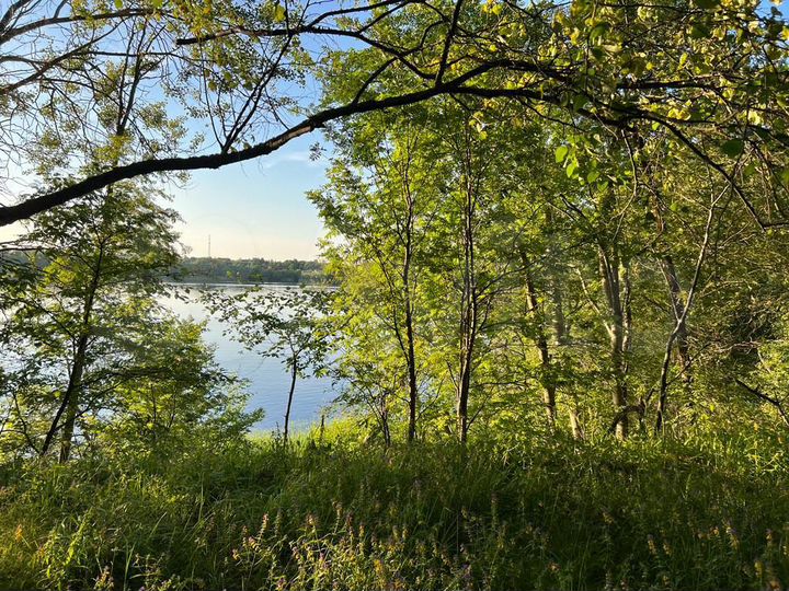 Участок 25 сот. (ИЖС)