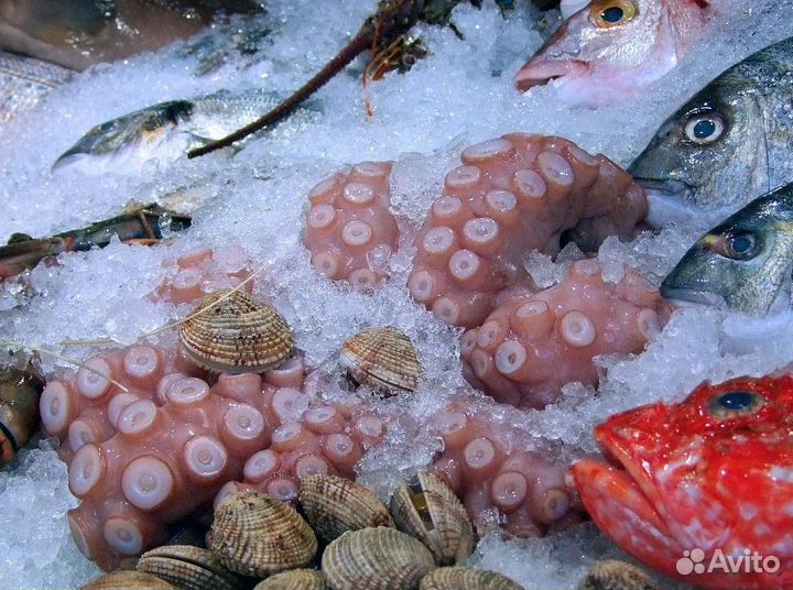 Готовый бизнес в рыбной сфере с клиентами