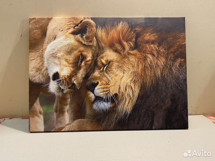 Картина Лев и львица в спальню