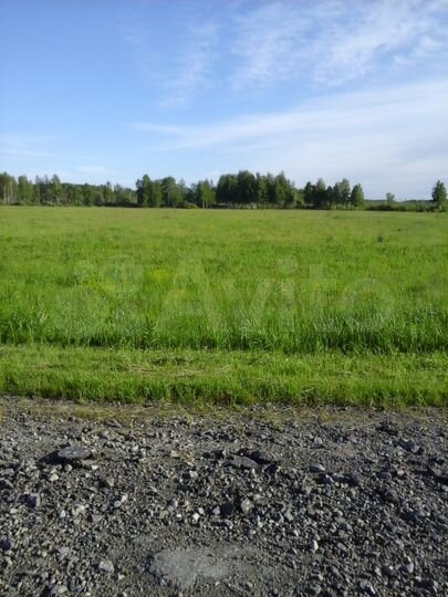 Участок 300 га (СНТ, ДНП)