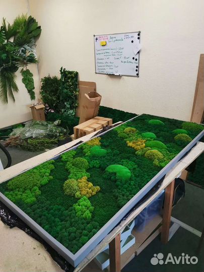 Мох стабилизированный панно фитостена фитокартина