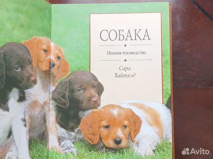 Собака. Сара Вайтхэд