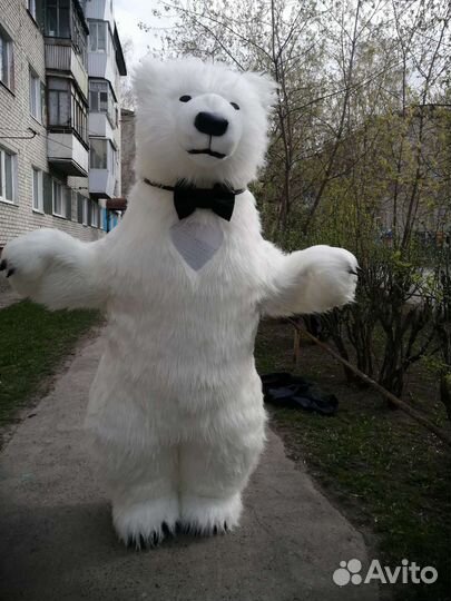 Ростовой мишка Зефир