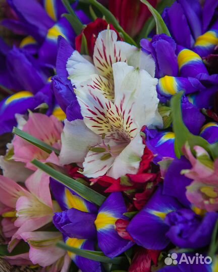 Букет из 20 ирисов и 15 альстромерий микс, цветы д