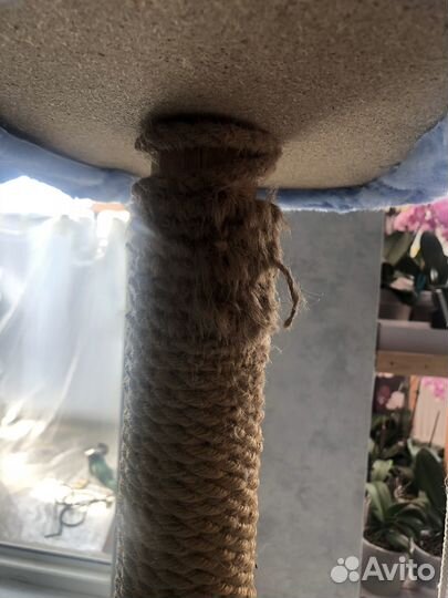 Домик для кошки с когтеточкой бу