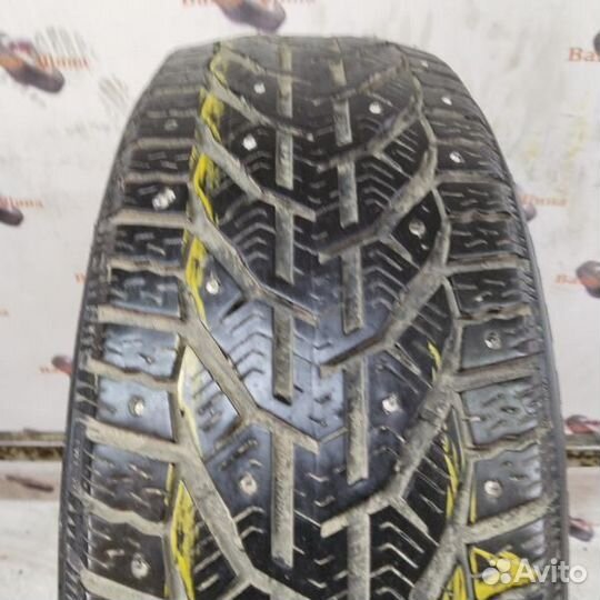 Tigar Ice 205/55 R16