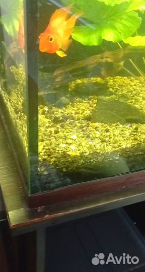 Аквариум с тумбой 450 литров