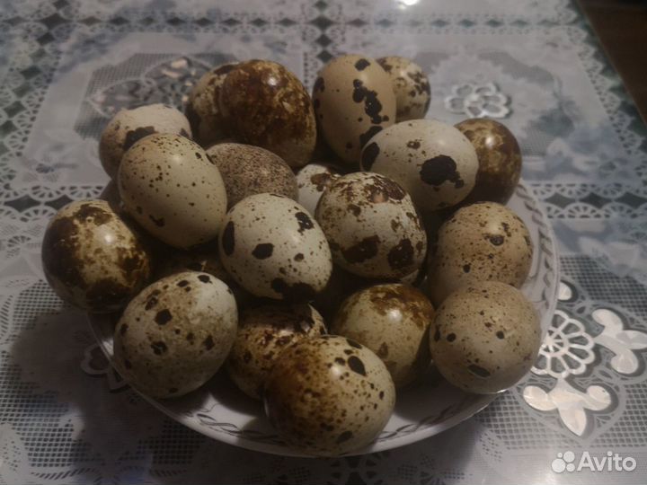 Яйцо перепелинное