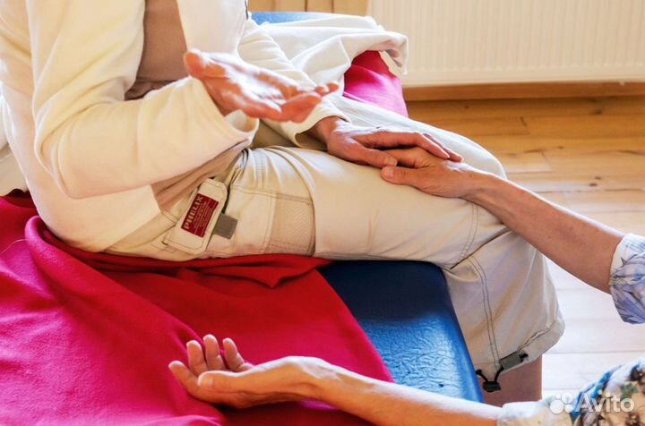 Биодинамика