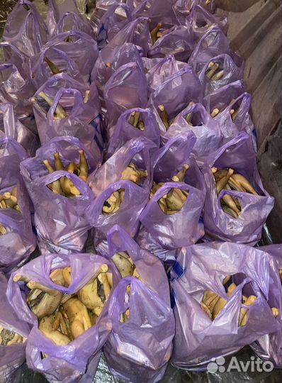 Разные куры