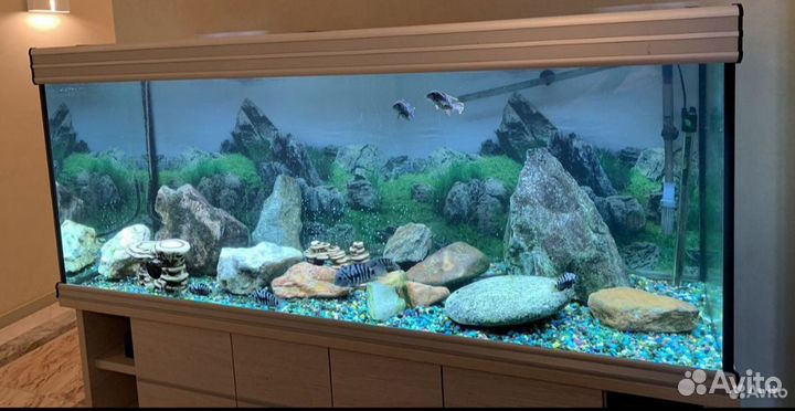 Аквариум с тумбой 450 л. Биодизайн Альтум