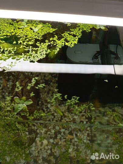 Аквариум с рыбками и принадлежности к нему