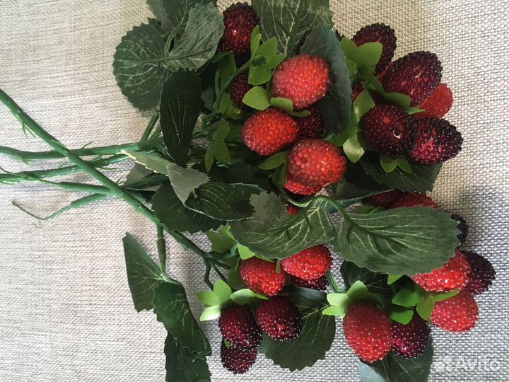 Ветка земляники
