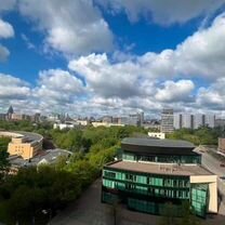 2-к. квартира, 53,7 м², 13/16 эт.