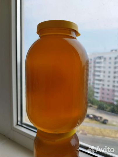 Мед цветочный с рапсом. Бесплатная доставка