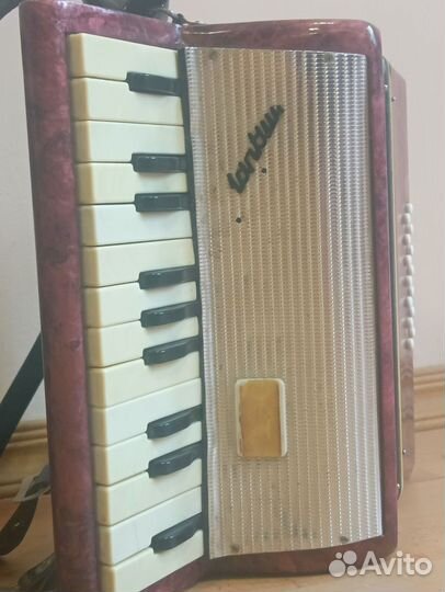 Гармонь детская 