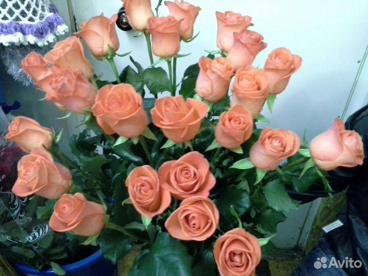 Цветы розы букет
