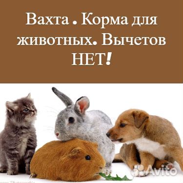 Фасовщик вахта, от 20 смен, г. Ефремов