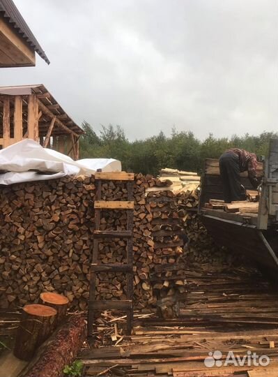 Дрова береза