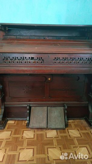 Физгармония