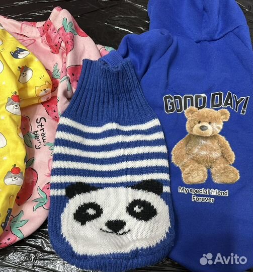 Вещи для собак или кошек