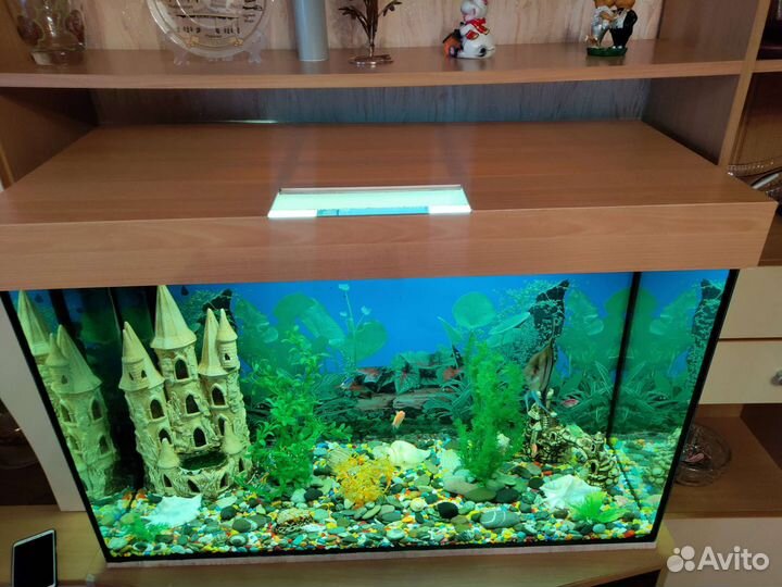 Аквариум