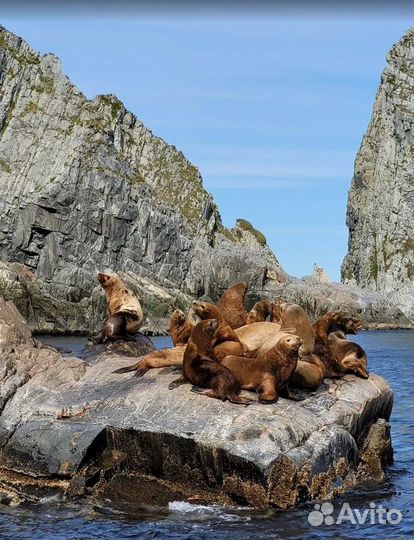 Камчатка тур экспедиция от 5 до 9 дн