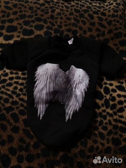 Одежда для собак