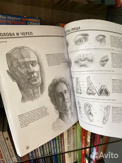 Полный курс рисования