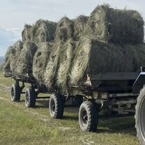 Продам сено в рулонах