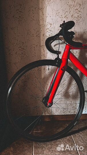 Велосипед BearBike Armata с крутой навеской