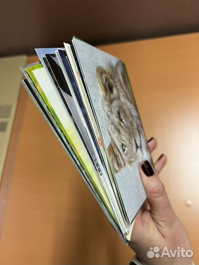 Открытки для посткроссинга флора фауна 30шт