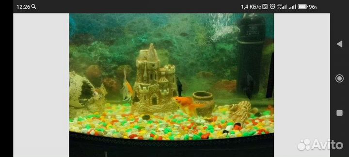 Аквариум