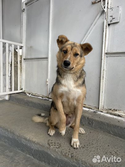 Милая девочка Буся)