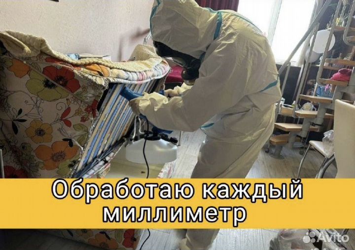 Уничтожение тараканов клопов