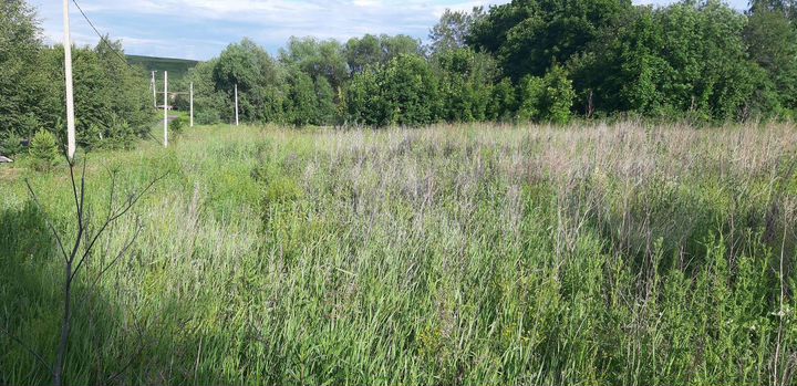 Участок 20 сот. (ИЖС)