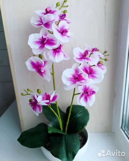 Орхидея дендробиум искусственная