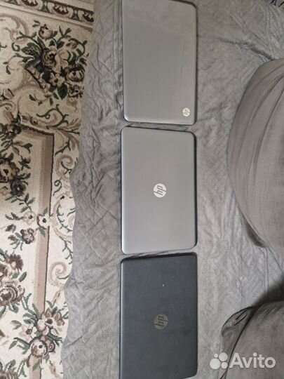 Ноутбуки HP