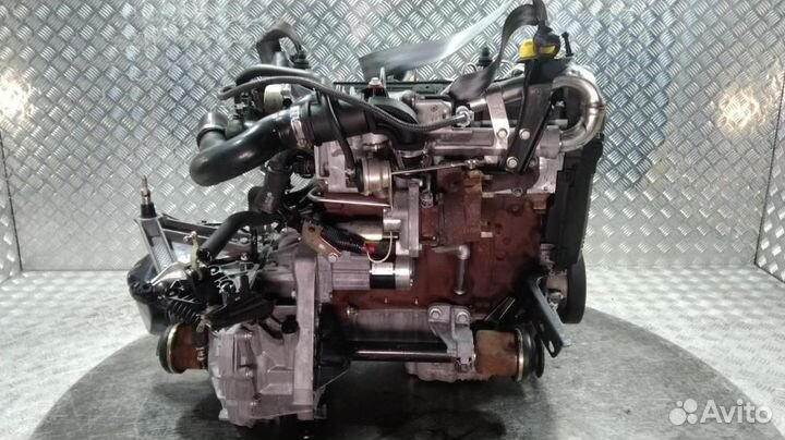 Двигатель Nissan Almera (00-06) 2003 K9K 260 1.5