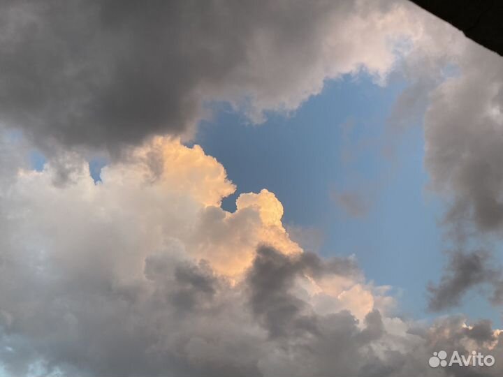 Медицинская литература