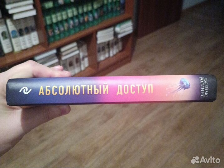 Джеймс Роллинс - абсолютный доступ