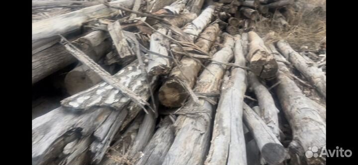 Коряги пни ветки спилы кругляк