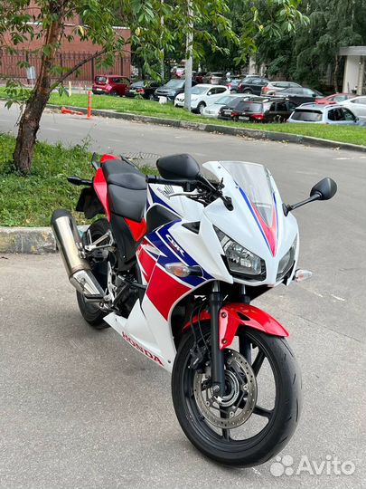Honda cbr300r