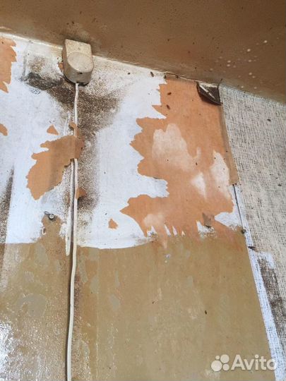 Уничтожения клешей,клопов,тараканов